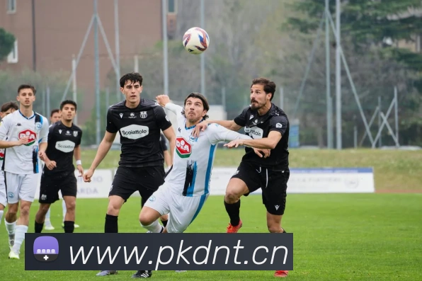 云开体育在线登陆平台生态图